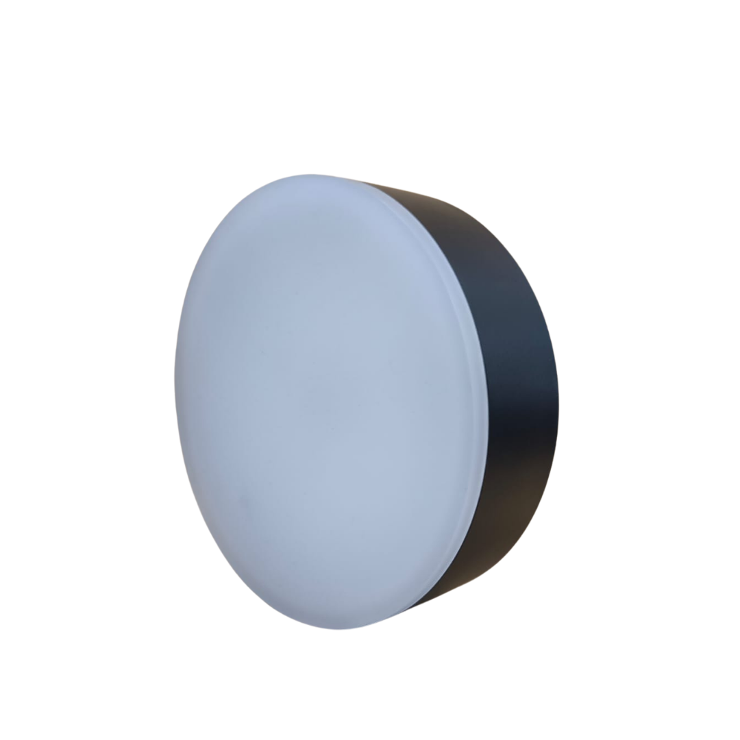TROYA 31B