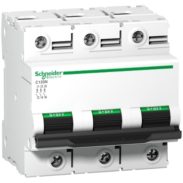 A9N18365 C120N 80A Schneider