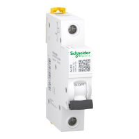 A9K24106 İK60N 6A Schneider